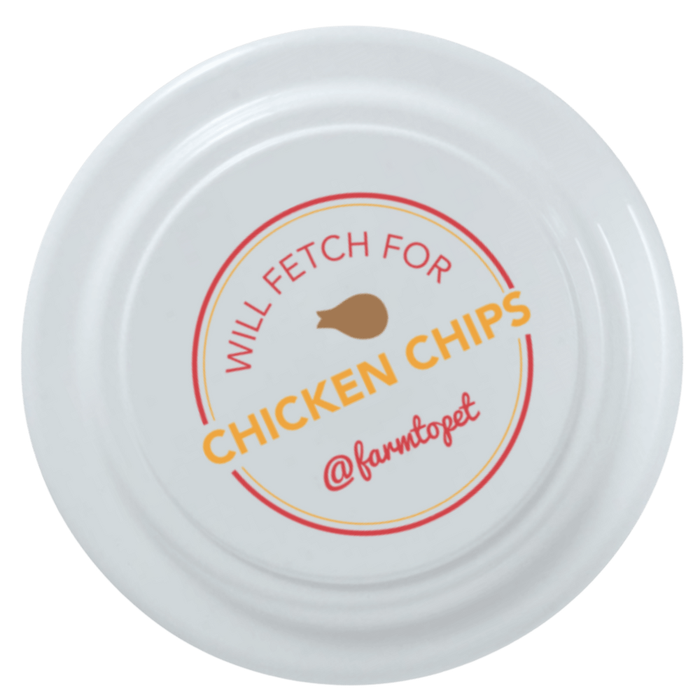Dog Frisbee Toy