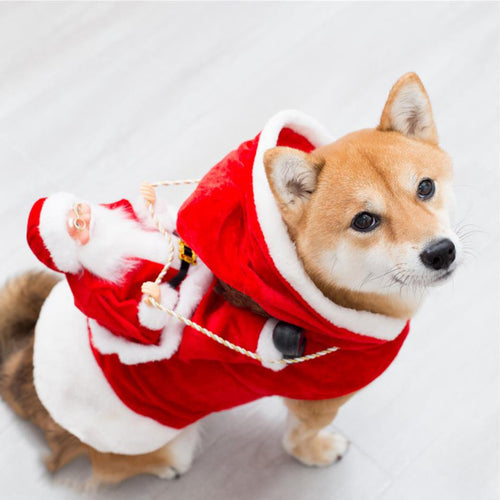 Christmas Elf Dog Costume - Green or Red Holiday Outfit, Adjustable Chest, S to 2XL