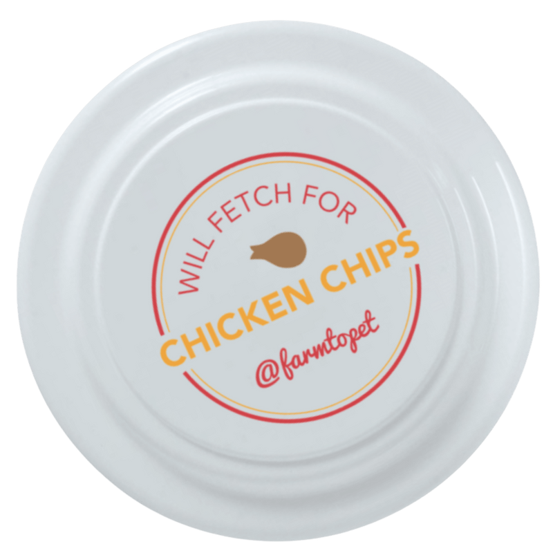 Dog Frisbee Toy