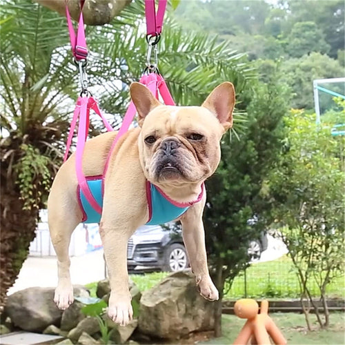 Dog & Cat Grooming Hammock - Holds Your Pet Steady for Nail Trims